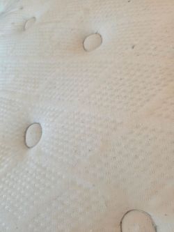 Free Queen mattress
