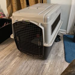 Large Dog Kennel