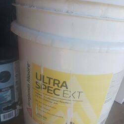 Pintura exterior white dove flat