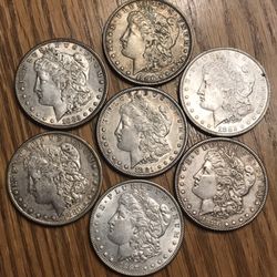 Morgan Dollars.  Excellent To Almost Uncirculated 