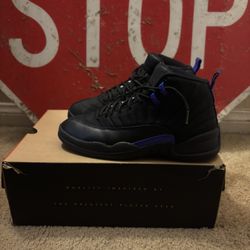 Air Jordan 12 Retro Dark Concord 10.5
