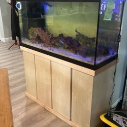 90 Gallon Fish Tank, Stand, Sump. Water Filtration System Availiable with 100 Gallon Tank