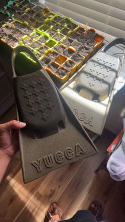 YUCCA MED/LRG