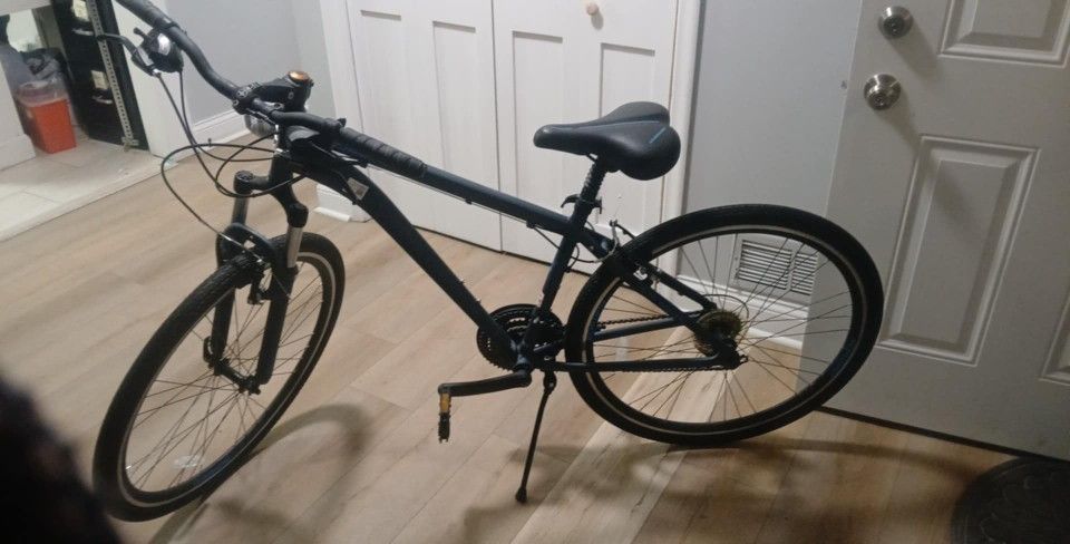 Shwinn 21 Speed Bike