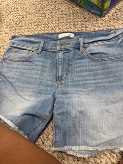 Loft shorts