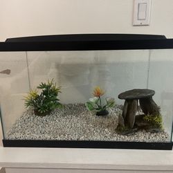 Fish Tank 10 Gallon
