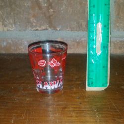 Hawaii shot glass