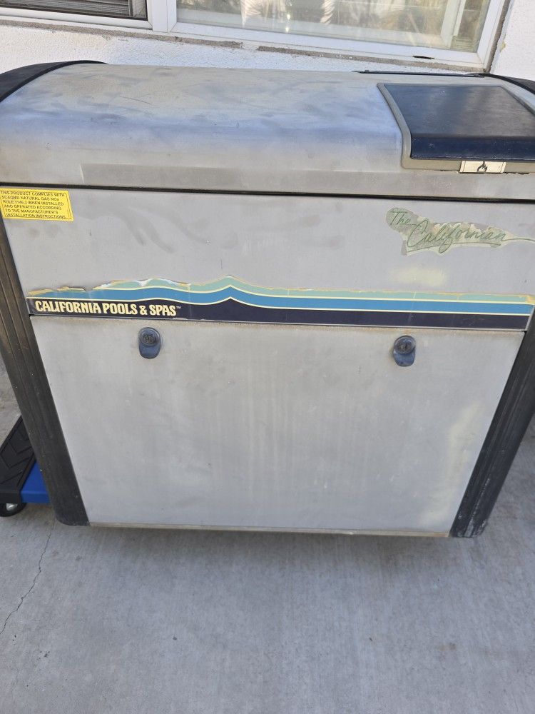 Jandy Laars LX Pool Heater