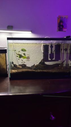 Fish tank