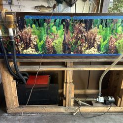 Fish tank Filter, Feeder Tank,  And Spare Part Lot 