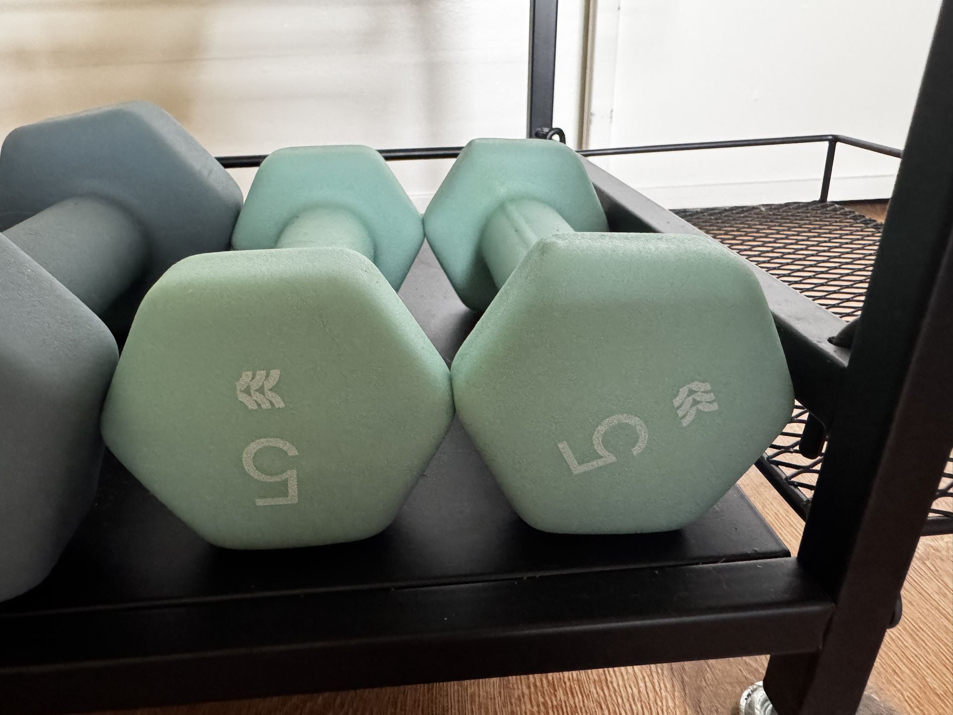 Pair of 5 lb Neoprene Dumbbells – Mint Green
