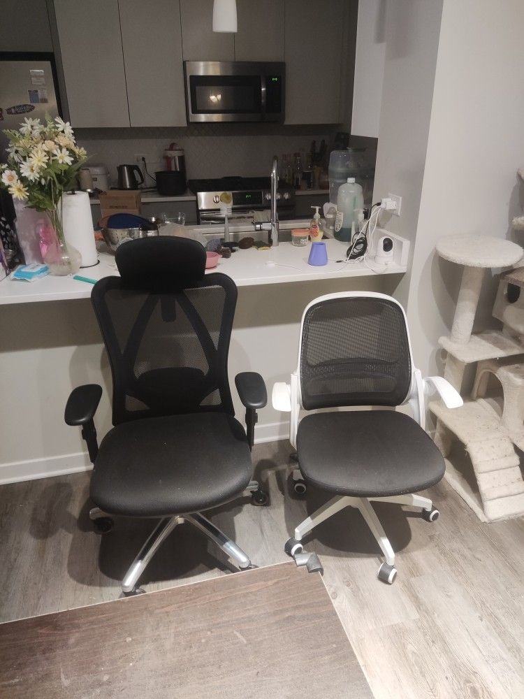 Ergonomic Chair and office chair