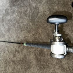 Daiwa Saltiga LD20 2 SPD 