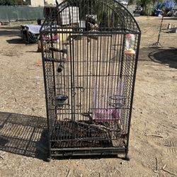 Bird Cage/Aviary