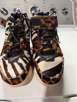 Nike zoom lebron 2 beast