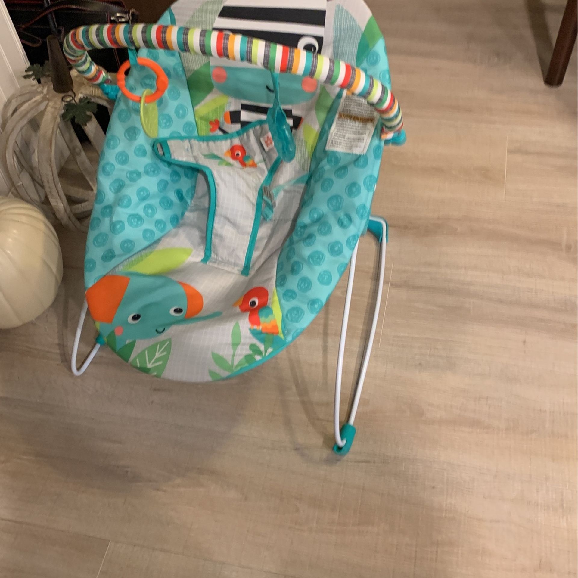 Baby Bouncer New