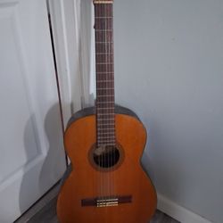 Guitar