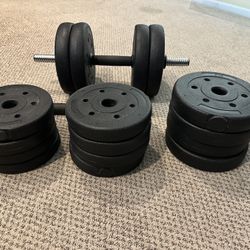 Adjustable Dumbbell 66 Pounds 