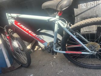 Nishiki Mountain  Bike 