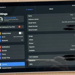 iPad 6th Gen 128gbs Unlocked 