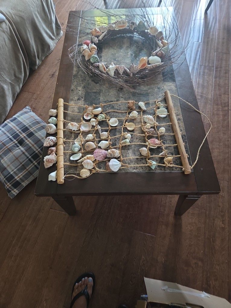 2 Sea Shell Decor