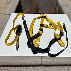 Guardian Series 1 Harness And Lanyard