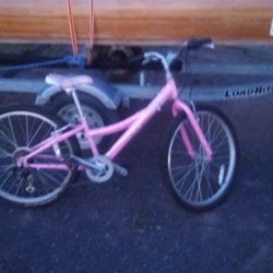 Trek Mt220