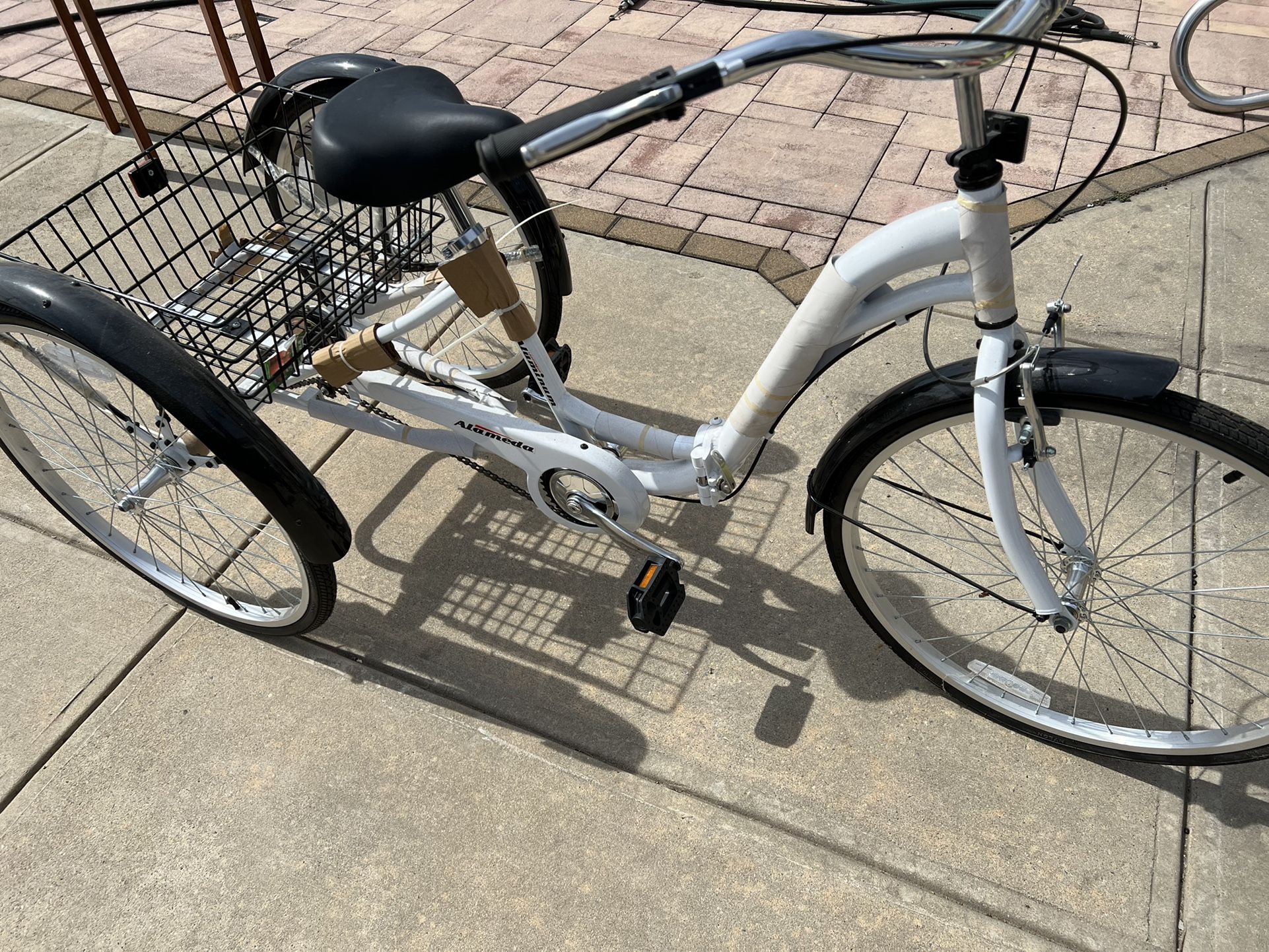 Adult Tricycle