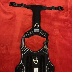 Dog harness