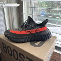 Yeezy Size 12