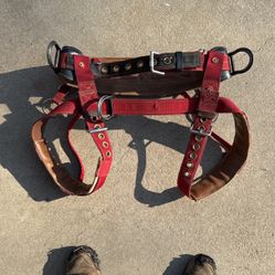 Tree Climbing Saddle 
