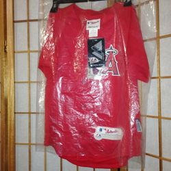 Baseball Jersey