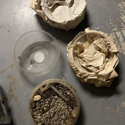 4 Glass Vases/ Terrarium