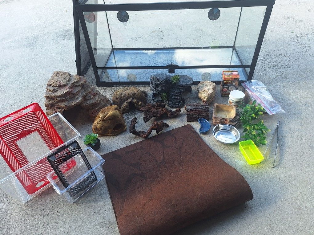 Terrarium with many accessories