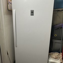 Huge Agostino Upright Freezer 