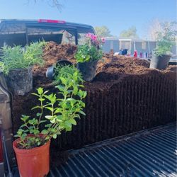 Organic Soil 15 Gallons For 10 Dollars 