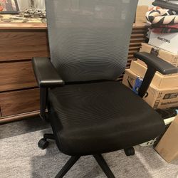 Ergonomic Computer Chair