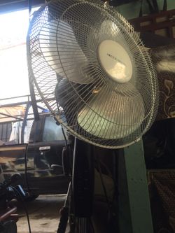 Fan