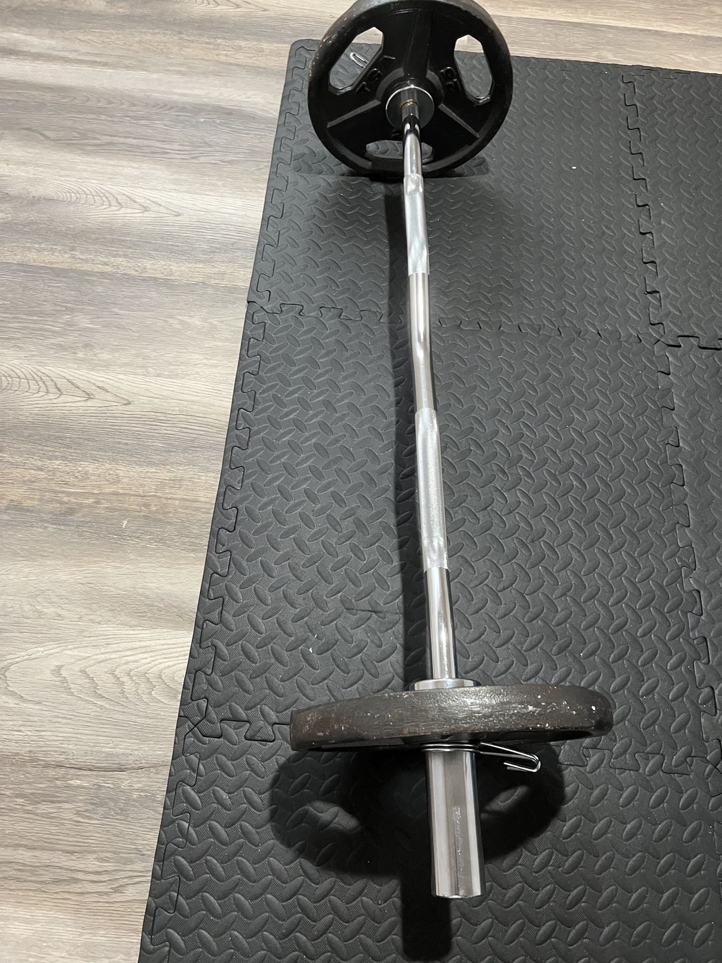 ( 2 ) 25 Pound Plates + curl Bar