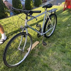 Trek Hybrid Bike 