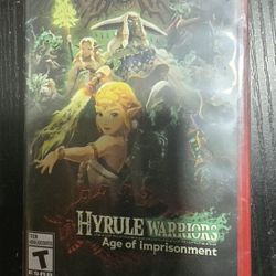 Hyrule Warriors: Age of Imprisonment