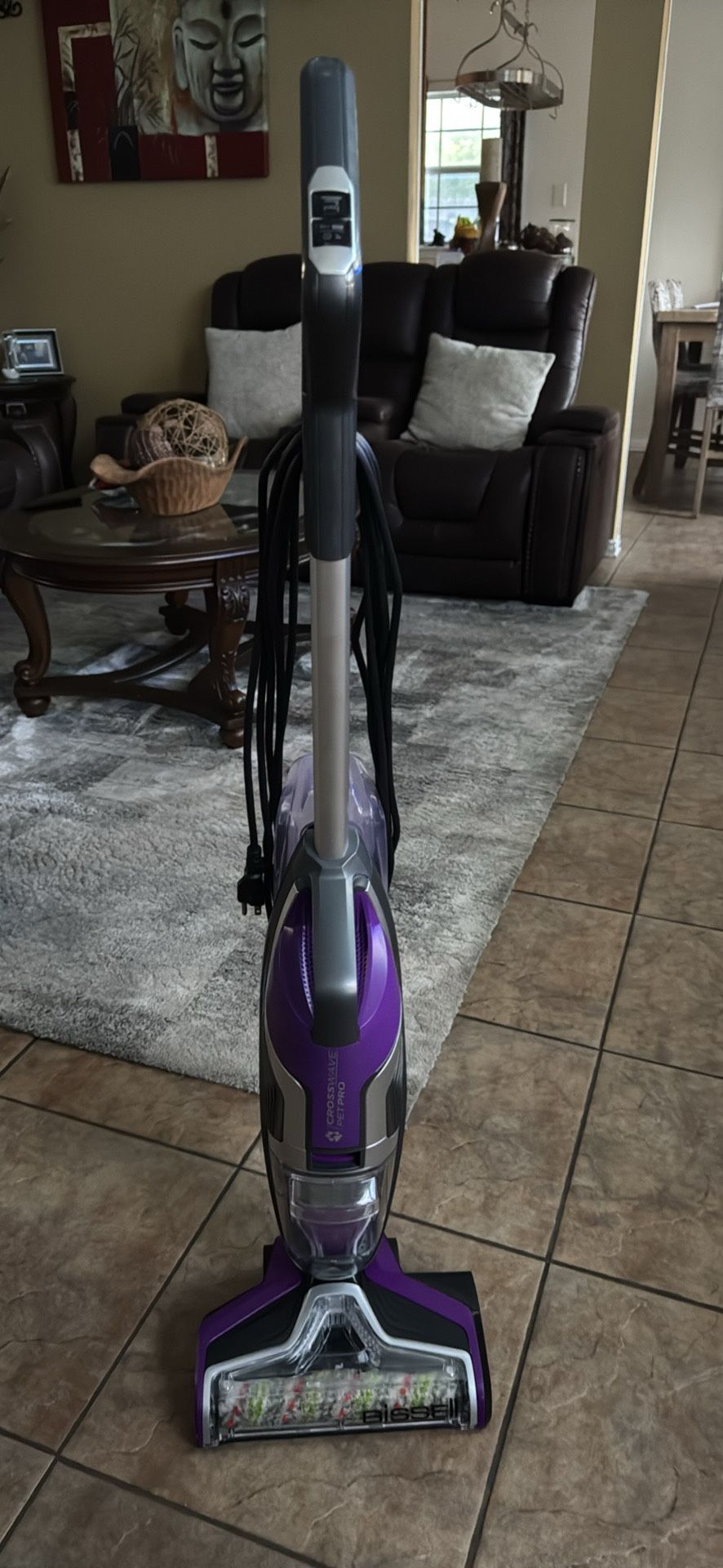 Crosswave Premier Vacuum