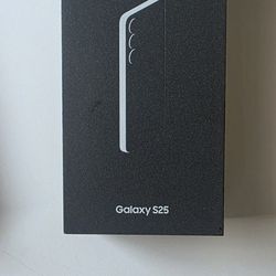 Samsung Galaxy S25