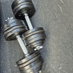 52.5lbs Dumbells Weights 