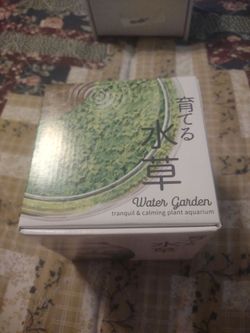 Mini Water Garden- Soothing