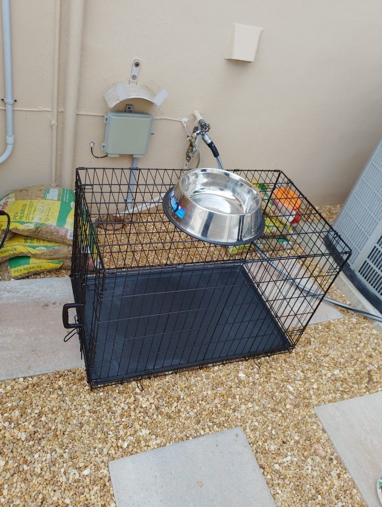Dog Cage And Water Bowl