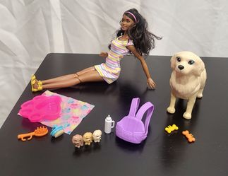 Barbie with dog, puppies and accessories
