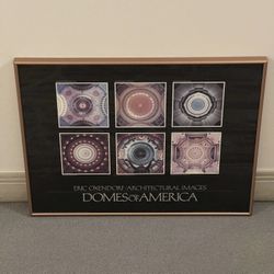 Mid-Size Framed Poster - DOMES of AMERICA - posted price is firm.