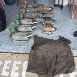 Duck Decoys