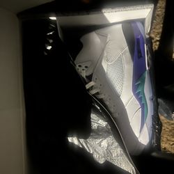 AIR JORDAN 5s “GRAPE “